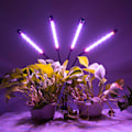 Miniatyrbild 7 av 9: LED-växtlampor för inomhusväxter Full Spectrum Plant Light med 15-60 tum justerbart stativ, röd blå vit golvväxtlampa med 4/8/12H