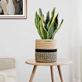 Miniatyrbild 5 av 5: Blomkruka Planterkorg Bomull Rep Korg Förvaring Korg Flätad För Leksaker Filtar I Barnrum 21x21cm, Svart & Jute