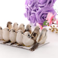 Miniatyrbild 8 av 8: Set med 12 Julgransfågelprydnader i Förpackningslåda, Fjäder & Skummaterial, Mått: 10x4cm