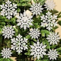 Miniatyrbillede 1 af 5: 36 stk. Hvide snefnug ornamenter i plast med glimmer til vinterjuletræspynt i forskellige størrelser