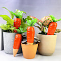 Miniatyrbillede 9 af 11: Automatisk radise vandingssystem (4 stk) enkelt kapacitet 150ml emballage 34*20*10.5cm