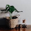 Miniatyrbillede 6 af 9: Blomsterstativ jernstøtte tråd have stativ fast pol plante støtte blomster søjle plante indsats, rustfrit stål (minimum parti af 20 pakker)