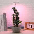 Miniatyrbilde 11 av 11: USB-plantelys Angel Ring med timer, fullspektrum sollyssimulering