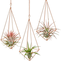 Miniatyrbillede 2 af 10: (Sort + kæde længde 17,5 cm) Luft ananas blomsterstand kan hænges med metal materiale.