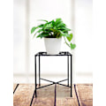 Miniatyrbillede 8 af 10: Jern blomsterstand pothos multi-lags enkel sukkulent stue indendørs kontor balkon pladsbesparende blomsterstand (enkelt sort)