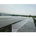 Miniatyrbillede 2 af 10: Fuglenet til Haveplanter Dækker Net Frugttræer Grøntsager Beskyttelse Have Mesh Net Hvid 1,8 X 7,6M