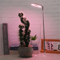 Miniatyrbilde 10 av 11: USB-plantelys Angel Ring med timer, fullspektrum sollyssimulering