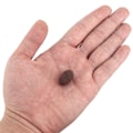 Miniatyrbillede 3 af 9: Hydroponisk Lergranulat Vækstmedium Anion Lersten til Hydroponisk System