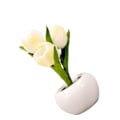 Miniatyrbilde 3 av 10: Elegant Tulipan Nattelys i Keramikk - Mykt Lys Batteridrevet Bordlampe for Bokhandlere & Kafeer - Hvit PU Blomsterdesign