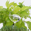 Miniatyrbillede 4 af 10: (Svan blomster vander) Blomster vander doven automatisk vanding blomster vander lavet af højt borosilikatglas