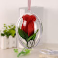 Miniatyrbilde 3 av 8: 10 stk 10 cm høye transparente plast hule ovale eggformede kuler for evighetsblomster og påskepynt