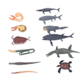 Miniatyrbillede 7 af 9: Forhistoriske havdyrslegetøj, antikke miniature realistiske havdyrfigurer, dekorative samleobjekter BL 1116