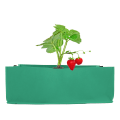 Miniatyrbilde 11 av 11: 3 stk Tykke Ikke-vevde Grønnsaksplanteposer - Frøplanteposer - Hageplanter - Bed med Håndtak - Lysegrønn 60x30x20cm