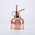 Miniatyrbilde 3 av 11: Plant Mister Sprayflaske 300 ML vannkanne i rustfritt stål for innendørs planter Succulent Bonsai Hageverktøy Sølv