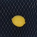 Miniatyrbillede 6 af 10: Fuglenet til Haveplanter Dækker Net Frugttræer Grøntsager Beskyttelse Have Mesh Net Hvid 1,8 X 7,6M