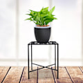 Miniatyrbillede 6 af 10: Jern blomsterstand pothos multi-lags enkel sukkulent stue indendørs kontor balkon pladsbesparende blomsterstand (enkelt sort)