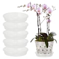 Miniatyrbillede 1 af 11: (5 stk. transparente 160 (ydre diameter: 15 cm indre diameter: 11,8 cm) egnet til: 6 tommer/7 tommer) matchende bakke