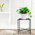 Miniatyrbillede 7 af 10: Jern blomsterstand pothos multi-lags enkel sukkulent stue indendørs kontor balkon pladsbesparende blomsterstand (enkelt sort)