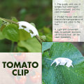 Miniatyrbillede 5 af 7: (Et sæt inkluderer: 50 stk. frugt hængende krog + 50 stk. tomat frugt håndtag fastgørelsesklips) Tomat krog/tomat håndtag fastgørelsesklips