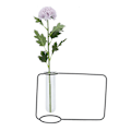Miniatyrbild 2 av 11: Innovativ Hängande Växtkruka Testtube Transparent Hydroponisk Växtvas för Hem Inomhus Svart