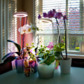 Miniatyrbilde 6 av 11: USB-plantelys Angel Ring med timer, fullspektrum sollyssimulering