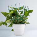 Miniatyrbilde 6 av 11: (6 stk blomsterstativ + 20 stk kabelbindere) plante klatrestativ blomsterstativ