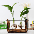 Miniatyrbillede 3 af 10: Ca. 14*28cm retro træramme vase A3 retro ramme + 3 flasker skum