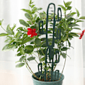 Miniatyrbillede 11 af 11: Klatreplantebeslag Krabbeklo-orkidé anti-fald rose klematis klatreplantebeslag - Monstera form to pak