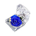 Miniatyrbillede 1 af 4: Ægte Konserveret Rose Forever I Mini Klar Ringæske, Gaver Til Jubilæum, Valentinsdag, Jul, Fødselsdag blue