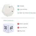 Miniatyrbillede 5 af 5: Timer Rotate Dodecagon - Genopladelig Timer Lyd Vibrer Lys Alarm Flip Timer 1 3 5 10 15 20 25