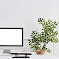 Miniatyrbillede 3 af 5: 2 stk. Akryl Pen Display Stativ, Pen Slots Stativ Akryl, ZQKLA