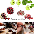 Miniatyrbillede 5 af 5: Cherrytomater, cherrydruer, små tomater og anden frugt cu
