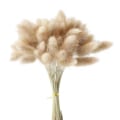 Miniatyrbillede 3 af 6: 60 stk. Naturlige Tørrede Ovale Lagura Blomster Hjem Bryllupsdekoration, ZQKLA
