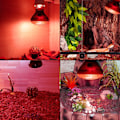 Miniatyrbild 5 av 5: E27 Reptil Infraröd Nattvärmelampa Glödlampa 100W Dimbar Retro