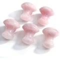 Pikkukuva 2 / 5: Sienimuotoinen Gua Sha -kaavin hierontatyökalu, luonnonkivi, kasvoille, ruusu