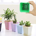 Miniatyrbillede 3 af 4: （10 x 10 cm）Sæt med 100 afløbsriste i plastik, Sort - Firkantet, ZQKLA