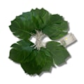 Miniatyrbillede 1 af 5: Blad LED Lys Kæde 3m 20 LED Hængende Fe Lys m,ZQKLA