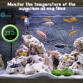Miniatyrbilde 5 av 5: Akvarium Termometer, 2 stk Elektronisk LCD Digital Termometer, ZQKLA