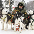 Miniatyrbilde 4 av 6: 2 stk. Hundefløyte - Hundetreningsfløyte - Hundefløyte - Ultra, ZQKLA