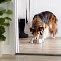 Miniatyrbillede 5 af 5: Hunde- og katteskål i rustfrit stål (Mellem skål - 600 ml kapacitet)