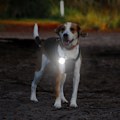 Pikkukuva 7 / 7: LED Otsalamppu Rintavalo 2 Kappaletta Juoksulamppu 4 Valolla, ZQKLA