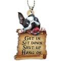 Miniatyrbilde 6 av 7: Morsom Boston Terrier Henge deg, Sett deg ned, Hold kjeft - ZQKLA
