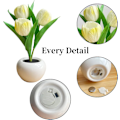 Miniatyrbillede 5 af 6: Led Bordlamper, Led Simuleret Tulipan Natlampe med Vase,,ZQKLA