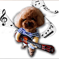 Miniatyrbillede 4 af 5: Guitar Hundekostumer Kæledyr Tøj Hundeklæder Dragt til Hvalp