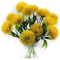 Miniatyrbillede 2 af 5: Kunstige Mælkebøtte Bryllupsdekorationer Buket Dekorative Blomster