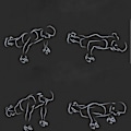 Pikkukuva 1 / 2: 1Pari Push Up -tanko S-muotoinen Push Up -apu vaahtokahvoilla kotisalille kuntoilutreeniin lihasten harjoitteluun