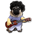 Miniatyrbillede 1 af 5: Guitar Hundekostumer Kæledyrstøj Hundetøj Dragt til Hvalp