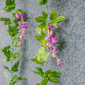 Miniatyrbild 3 av 5: Konstgjorda blommor Wisteria Konstgjord Wisteria Girlang Blomgirlang