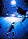 Målad 30*40cm 5D Diamant Full Diamant Korsstygn (16) Delfin