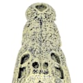 Miniatyrbillede 1 af 8: Akvarie fisketank dekoration kunstig simulation kranieform ornament til dekoration landskab
